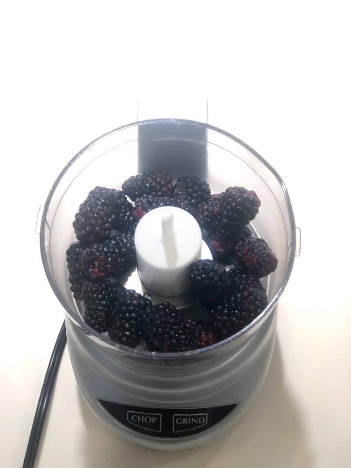 Blackberry Puree (Easy NoCook Recipe) • Keeping It Simple Blog
