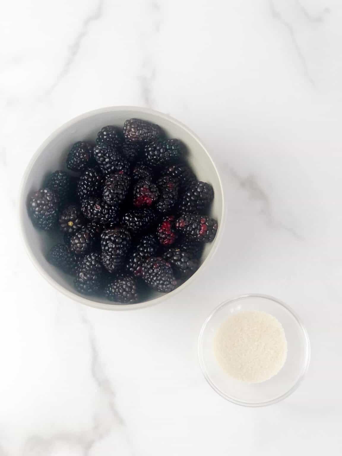 Blackberry Puree (Easy NoCook Recipe) • Keeping It Simple Blog