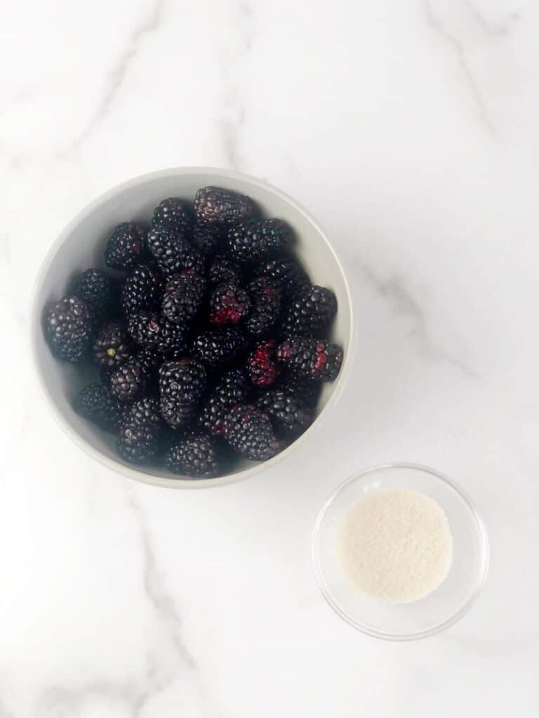 Blackberry Puree (Easy NoCook Recipe) • Keeping It Simple Blog