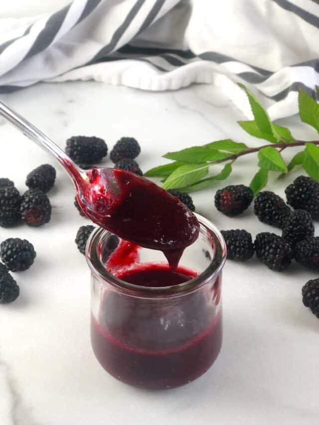 Blackberry Puree (Easy NoCook Recipe) • Keeping It Simple Blog