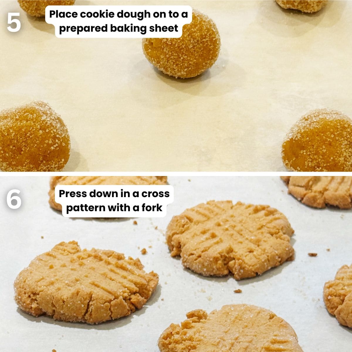 Forming the peanut butter cookies.